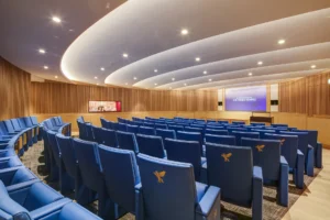 Lecture and theatre hall - hall view 